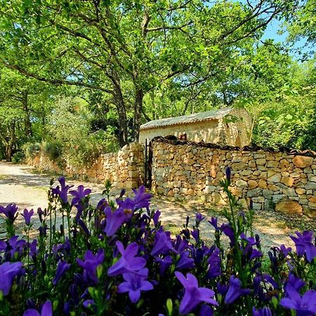 库姆斯地牢水疗住宿加早餐旅馆 法扬斯 外观 照片